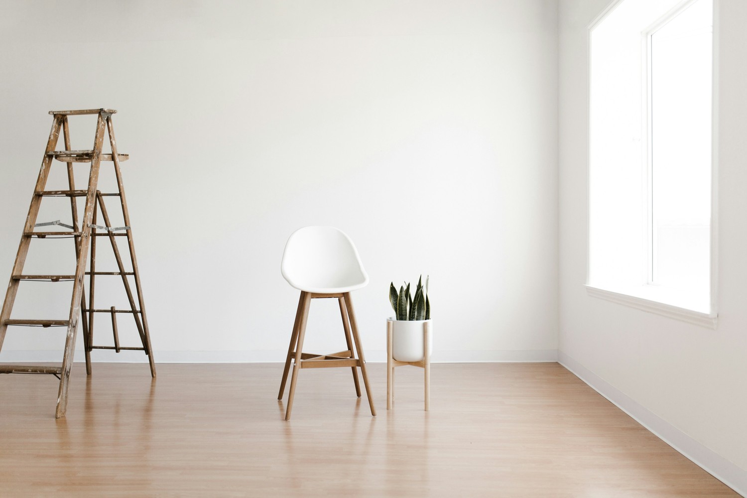 Minimalistyczne wnętrze z krzesłem i rośliną fot. Unsplash