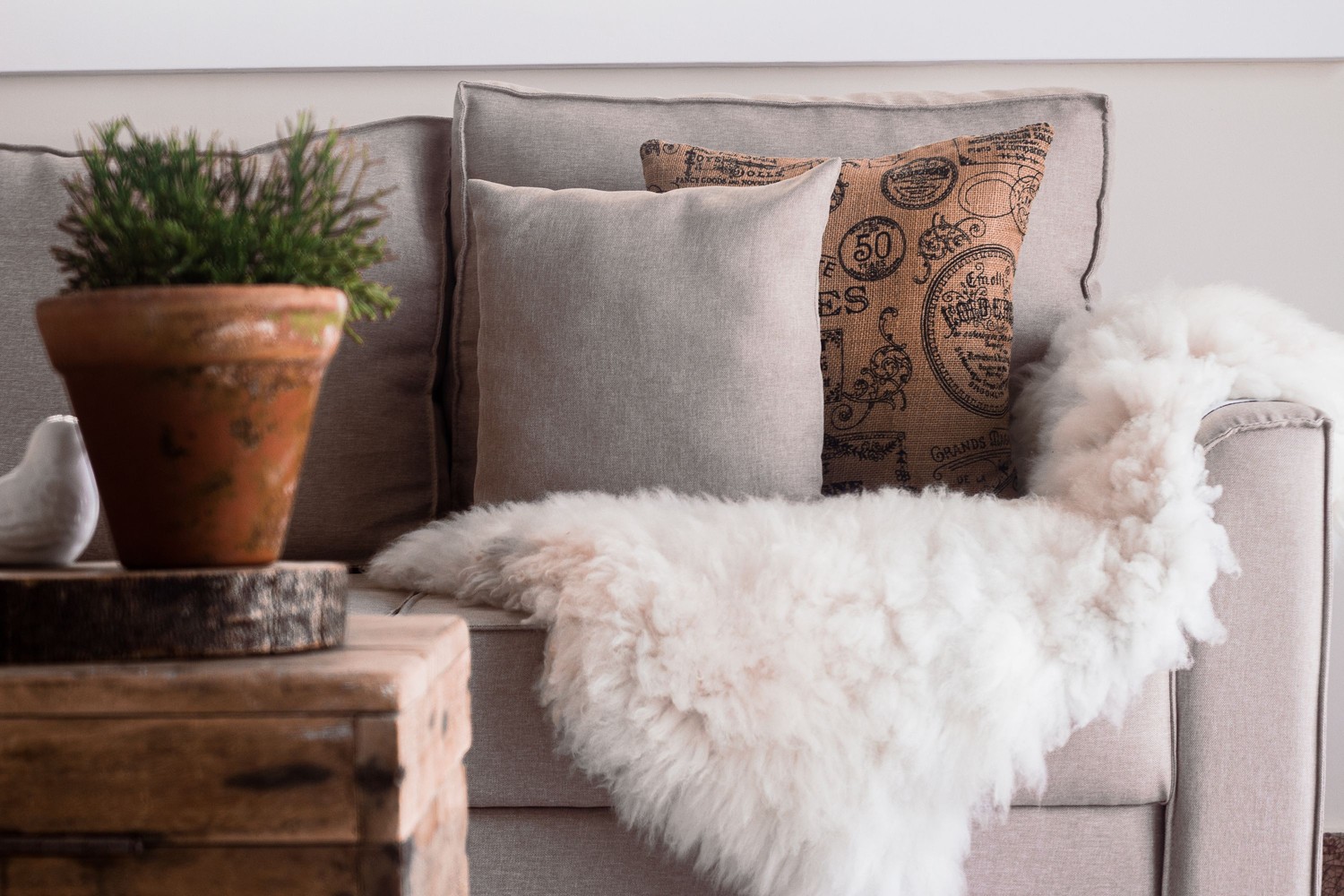 Skandynawski salon z beżową sofą i rośliną fot. Pexels