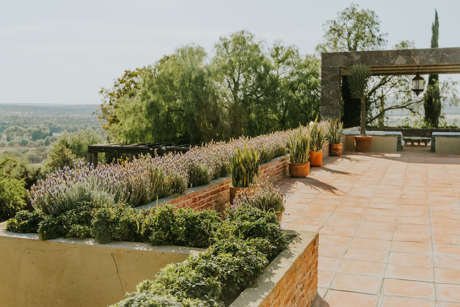 Śródziemnomorskie patio z lawendą i terakotą fot. Pexels