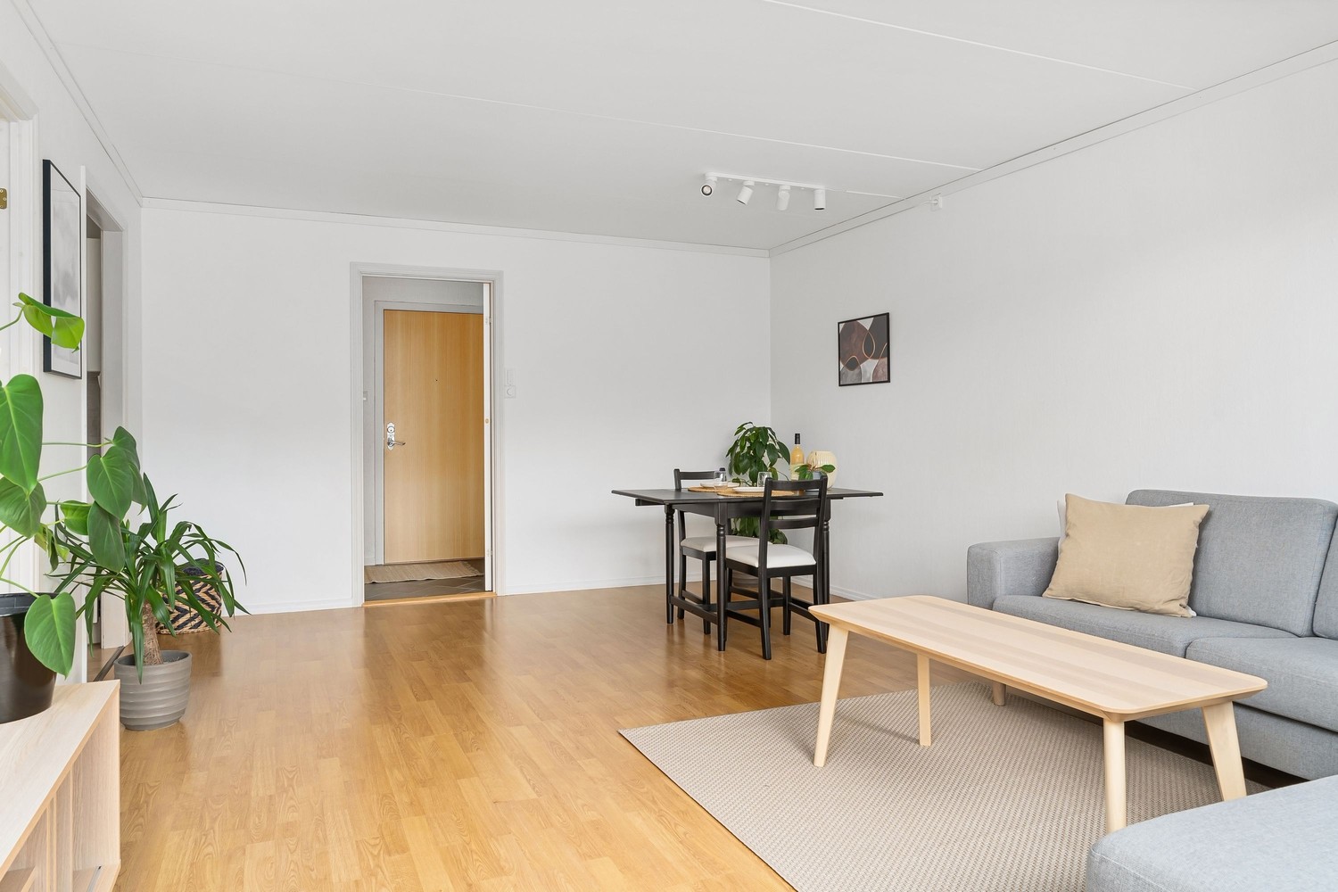 Skandynawski salon z jadalnią i rośliną fot. Pexels