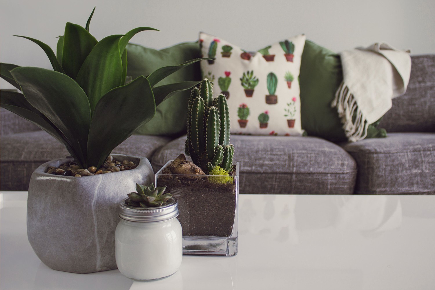 Salon z zieloną poduszką i rośliną fot. Pexels