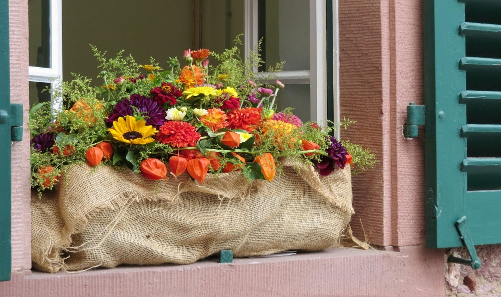 bukiet z jesiennych kwiatów, bukiet z roślin jesiennych, jak zrobić jesienny bukiet
