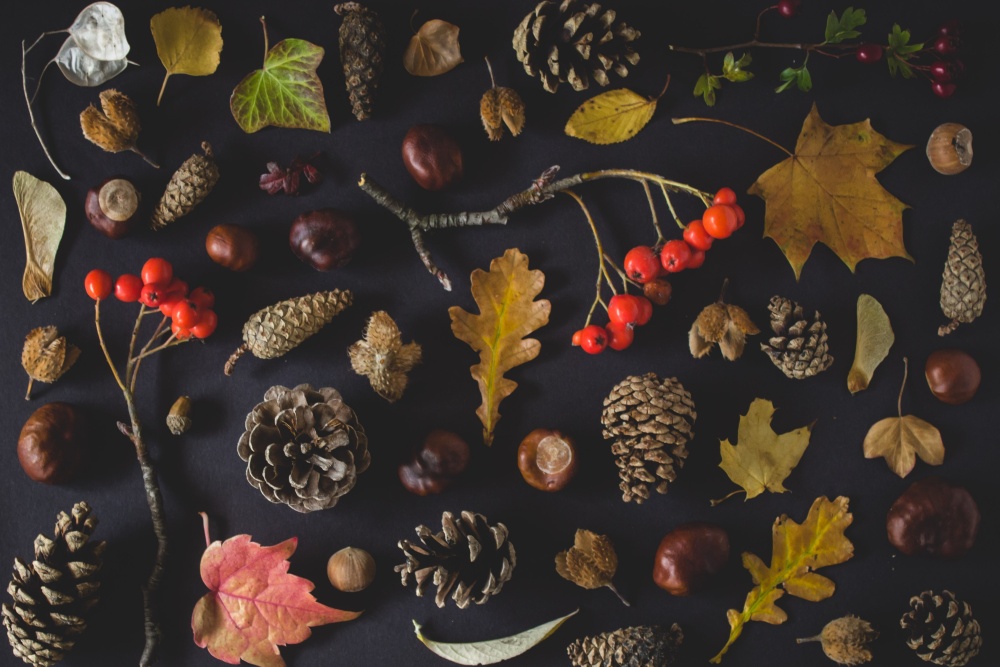 dary jesieni, dekoracje na jesień, co do dekoracji na jesień