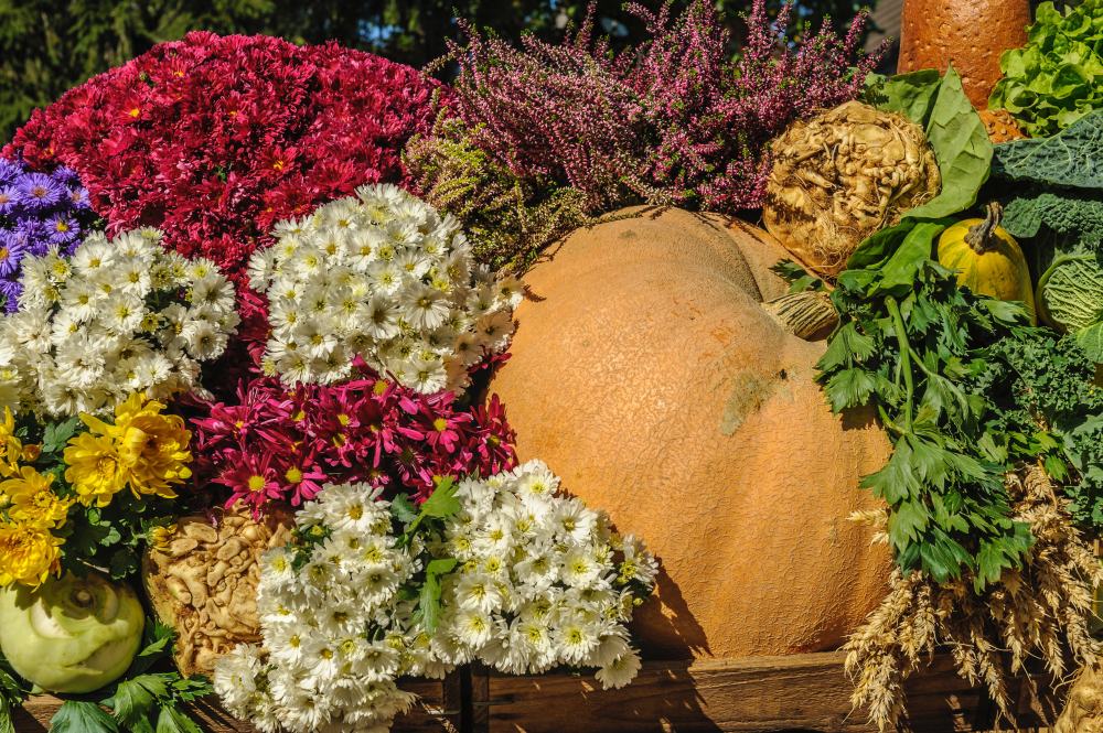 dekoracja jesienna z warzyw, dekoracja jesienna w ogrodzie, jesienne ozdoby ogrodu