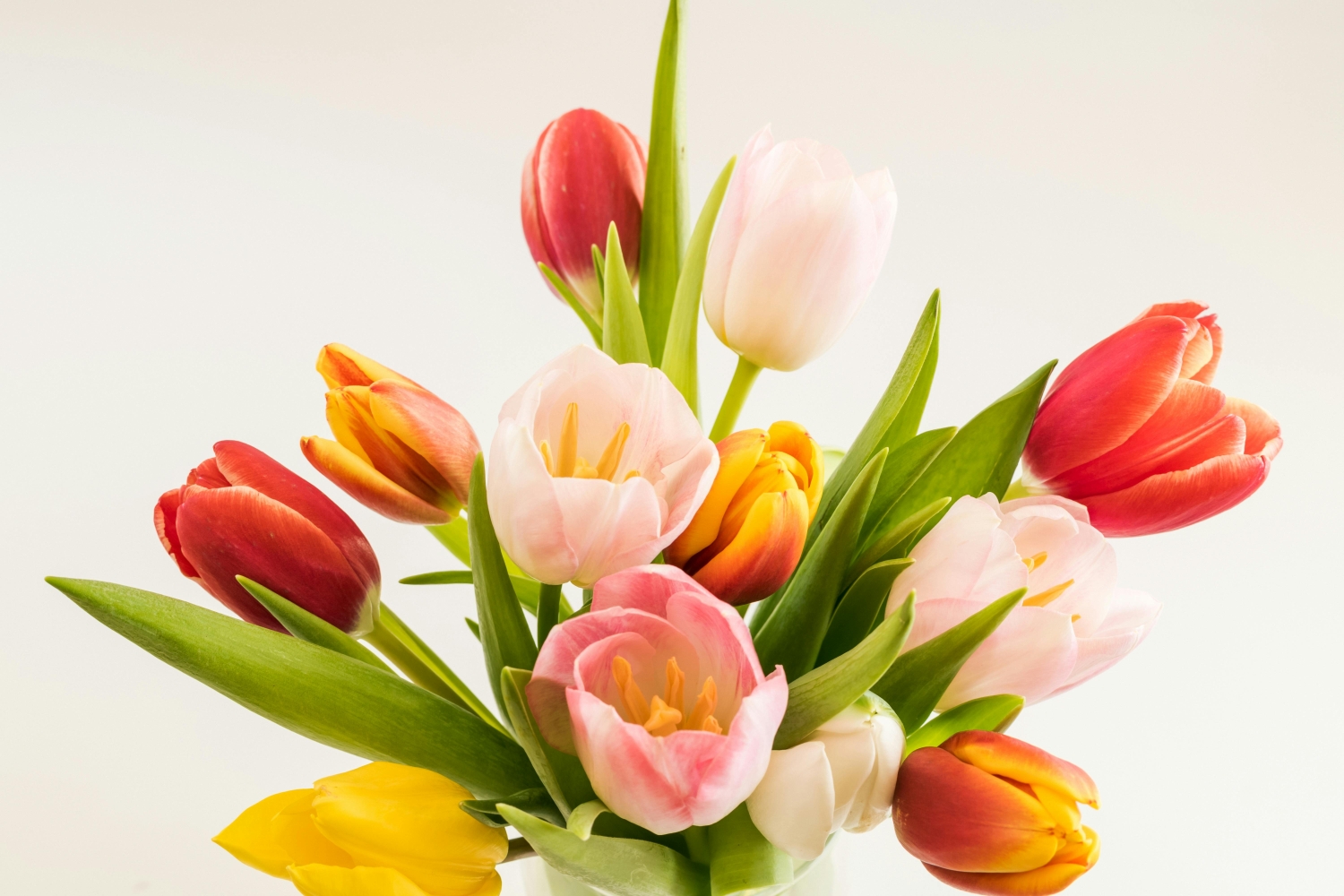 Tulipany w wazonie