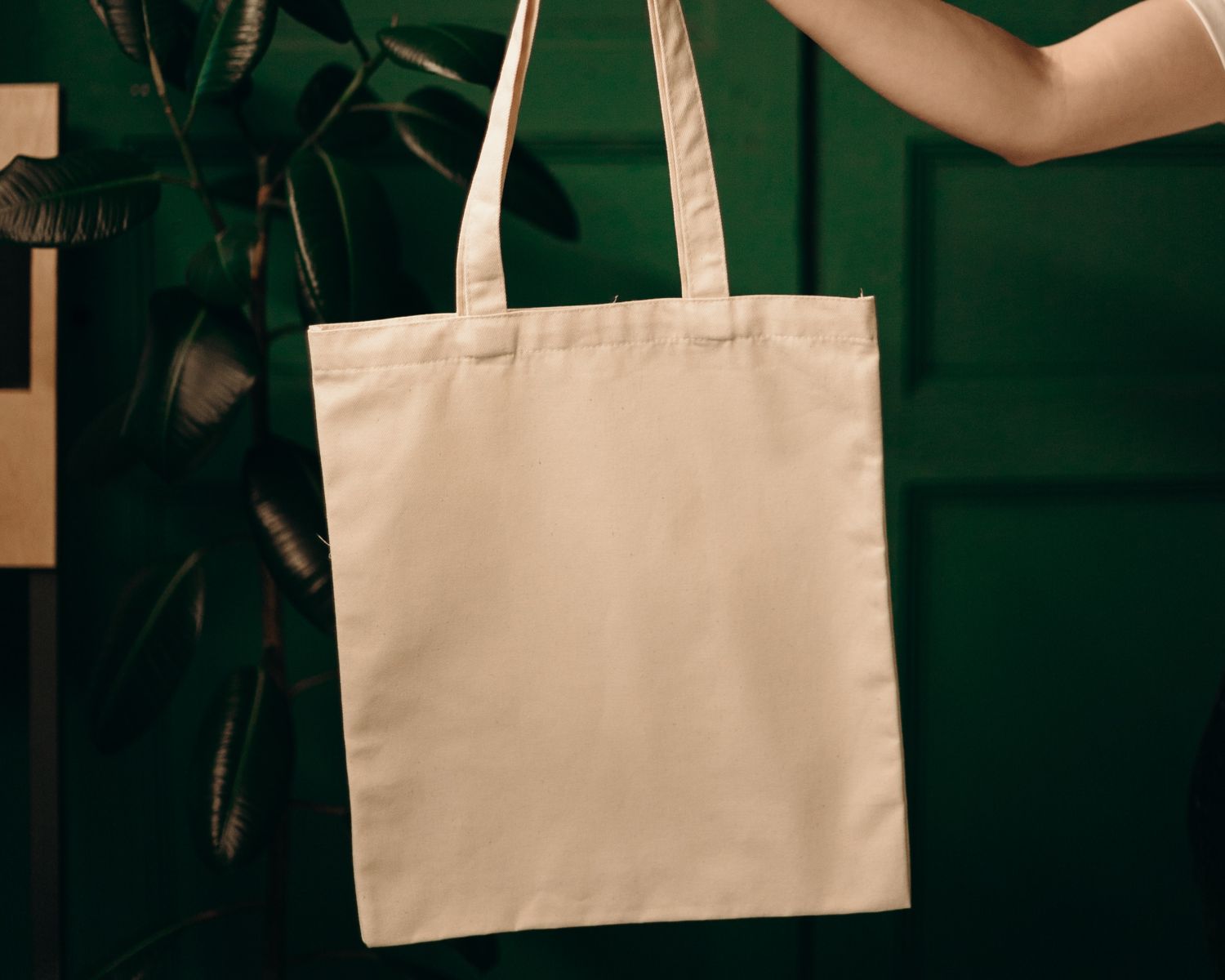 zero waste lifestyle