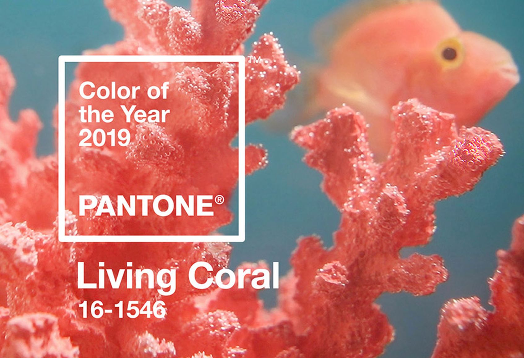 koralowy living koral 16 1546 kolor roku 2019 pantone inspiracje dekoportal