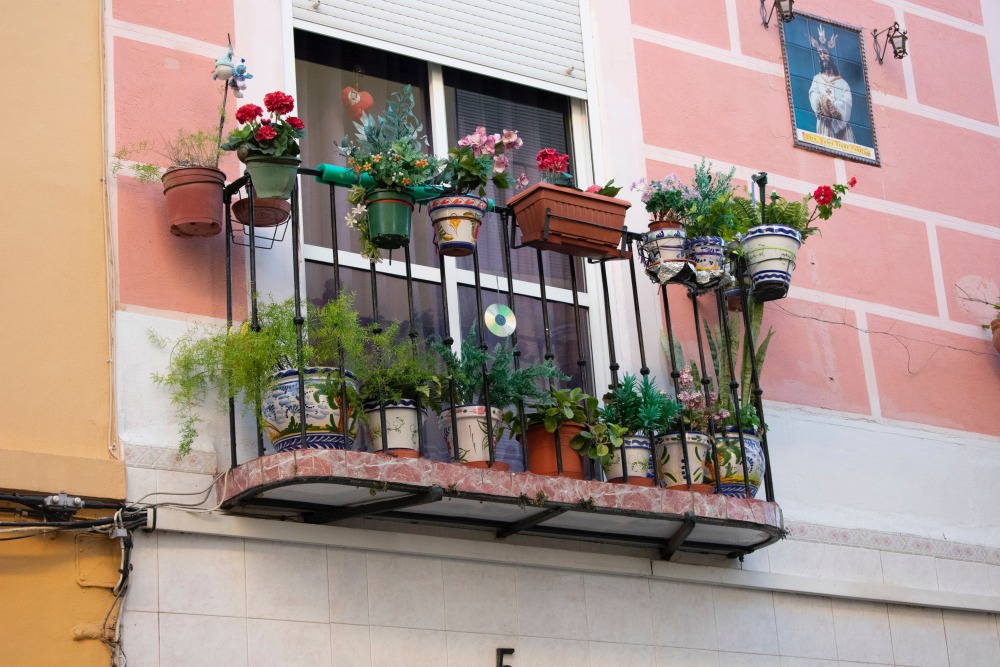 kwiaty na balkonie, rośliny na balkonie, rośliny balkonowe