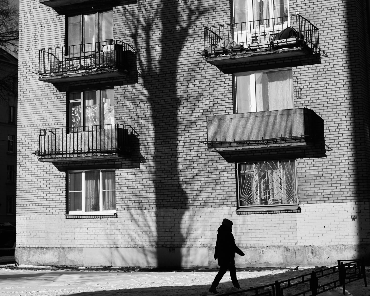 jak samemu zabezpieczyć balkon dla kota