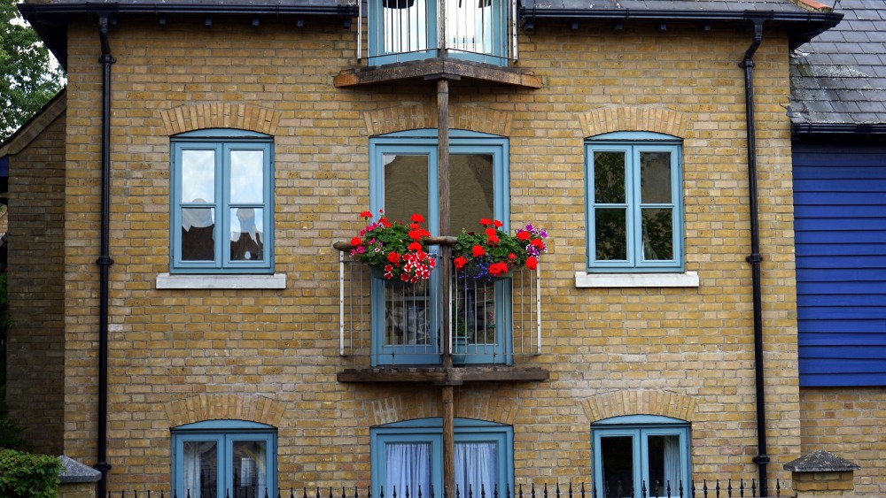 jakie kwiaty na balkon, co posadzić na balkonie, jakie rośliny na balkon