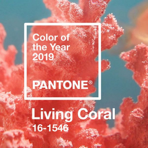 Kolor roku 2019, kolor roku, kolor roku pantone, kolor roku 2019 pantone, living coral, koralowy - www.Dekoportal.pl||